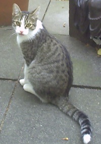 Schmerzlich vermisst werden...